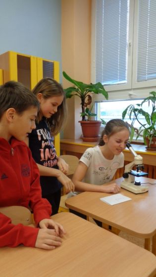 Fotografie 1576650871970_original.jpg