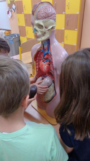 Fotografie 1576650872174_original.jpg