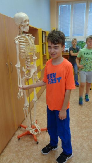 Fotografie 1576650873818_original.jpg