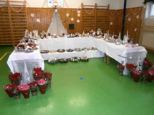 Fotografie 1574921150778_original.jpg