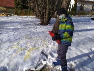 Fotografie 1611317317530_original.jpg