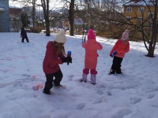 Fotografie 1611317329490_original.jpg