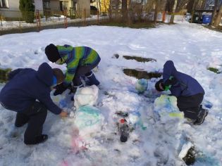 Fotografie 1611317348557_original.jpg