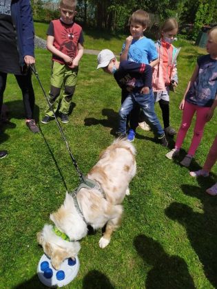 Fotografie 1622708504742_original.jpg