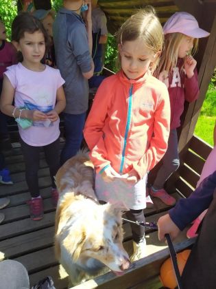 Fotografie 1622708536155_original.jpg