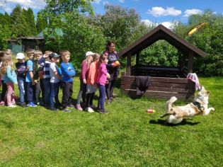 Fotografie 1622708536353_original.jpg