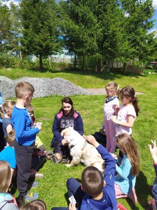 Fotografie 1622708536706_original.jpg