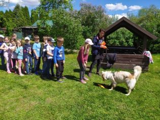 Fotografie 1622708547590_original.jpg