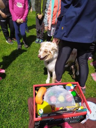 Fotografie 1622708558961_original.jpg