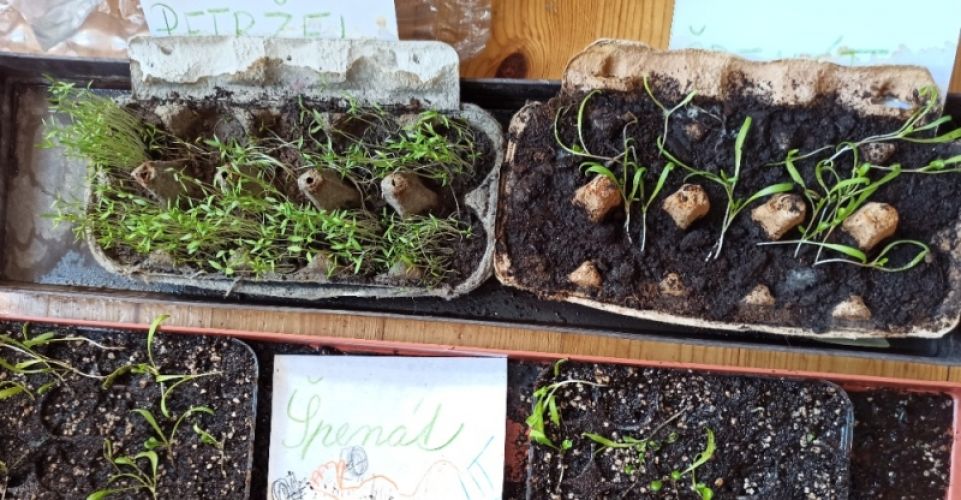 Co nového v družině?