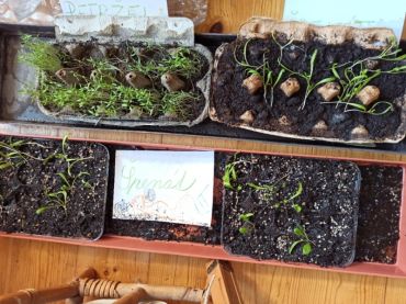 Foto k aktualitě Co nového v družině?