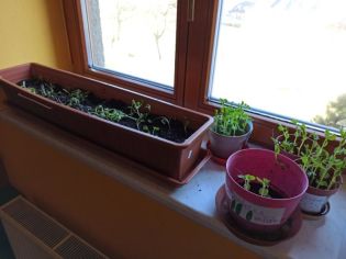 Fotografie 1615981634089_original.jpg