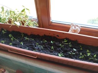 Fotografie 1615981634683_original.jpg