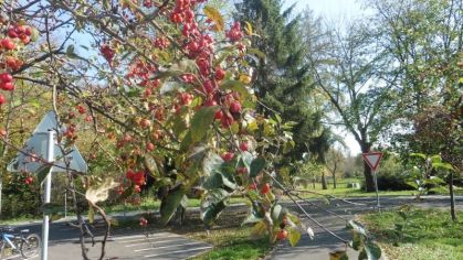 Fotografie 1571806589408_original.jpg