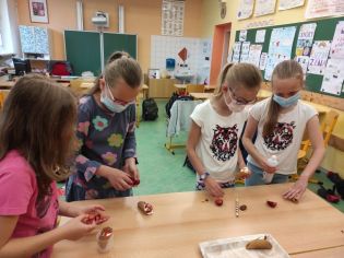 Fotografie 1621849285927_original.jpg