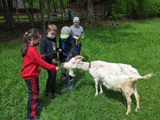 Fotografie 1621849935816_original.jpg