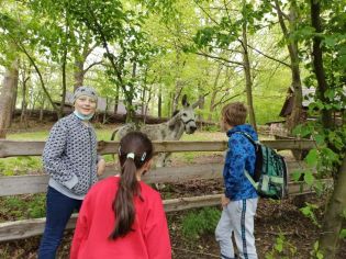 Fotografie 1621849965206_original.jpg