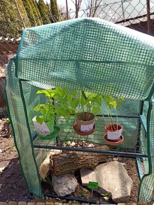 Fotografie 1620290041911_original.jpg