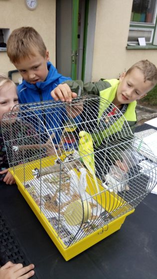 Fotografie 1570440676669_original.jpg