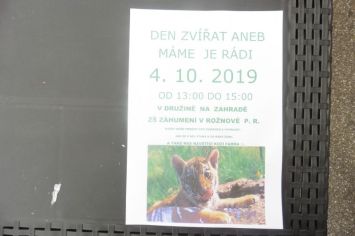 Fotografie 1570440679054_original.jpg