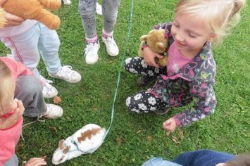 Fotografie 1570440680034_original.jpg