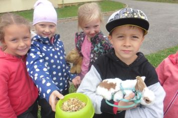 Fotografie 1570440749600_original.jpg