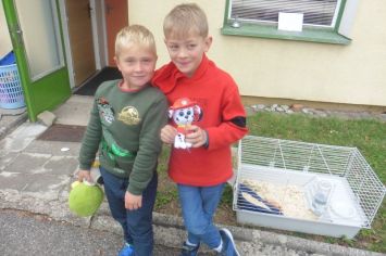 Fotografie 1570440750922_original.jpg