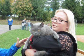 Fotografie 1570440825565_original.jpg