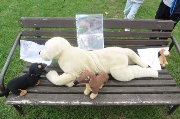 Fotografie 1570440826488_original.jpg