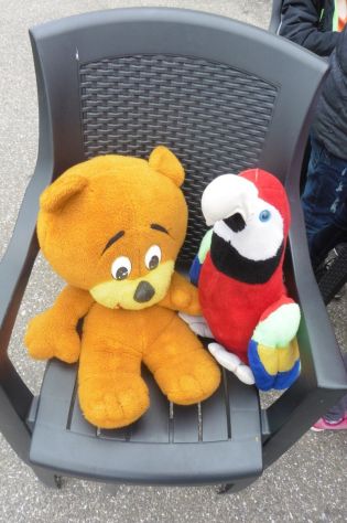 Fotografie 1570440883503_original.jpg