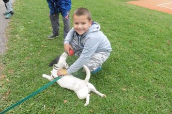 Fotografie 1570440884714_original.jpg