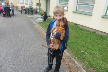 Fotografie 1570440885308_original.jpg