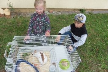 Fotografie 1570440886960_original.jpg