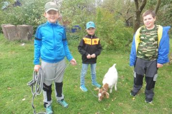 Fotografie 1570440953391_original.jpg