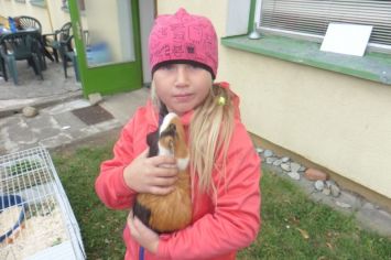 Fotografie 1570440954416_original.jpg