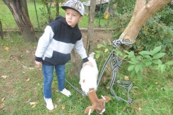 Fotografie 1570440954759_original.jpg