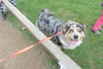 Fotografie 1570440955123_original.jpg