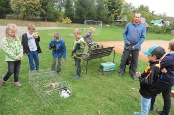 Fotografie 1570441029169_original.jpg