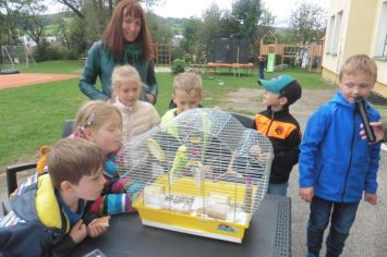 Fotografie 1570441029276_original.jpg