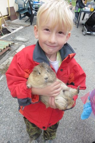 Fotografie 1570441031288_original.jpg