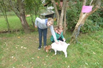 Fotografie 1570441032893_original.jpg