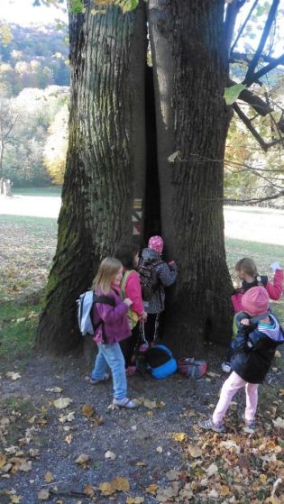 Fotografie 1571376155868_original.jpg