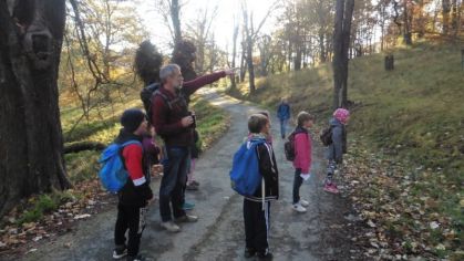 Fotografie 1571376156265_original.jpg