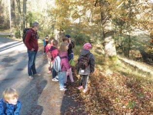 Fotografie 1571376508191_original.jpg