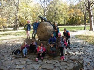 Fotografie 1571376551267_original.jpg