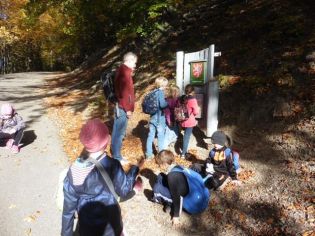 Fotografie 1571376551378_original.jpg