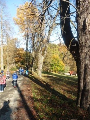 Fotografie 1571376551661_original.jpg