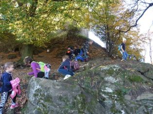 Fotografie 1571376597683_original.jpg