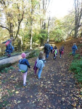 Fotografie 1571376597684_original.jpg