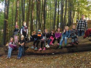 Fotografie 1571376597958_original.jpg